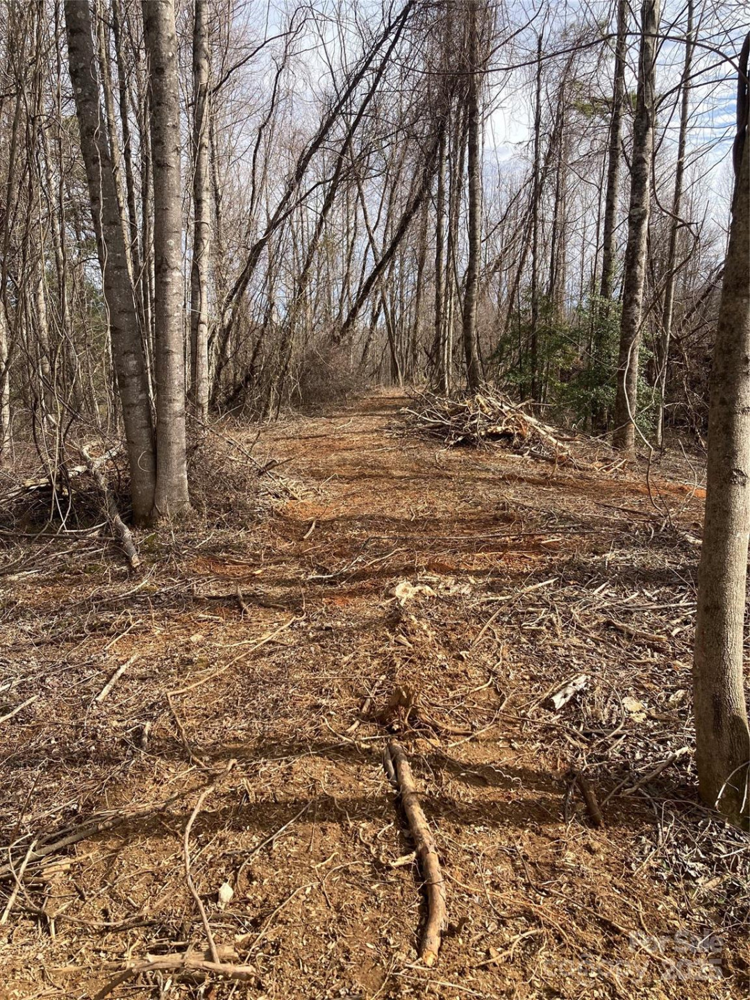 1638 Continental Divide Road #1 - Photo 8