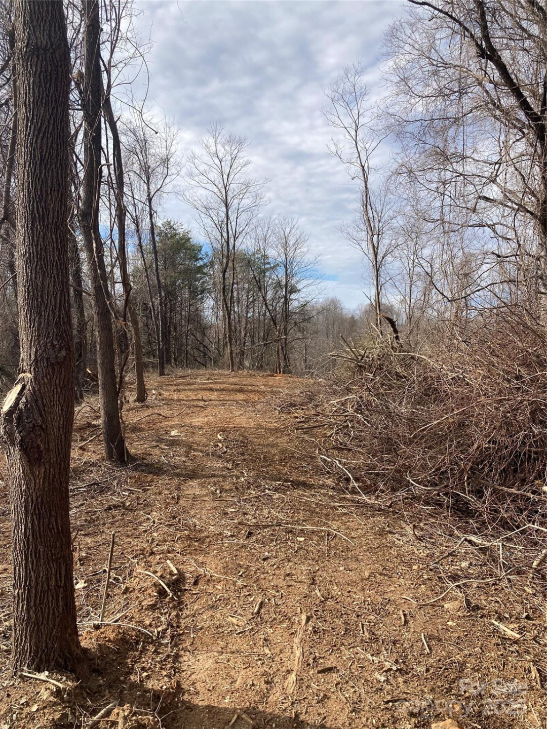 1638 Continental Divide Road #1 - Photo 9