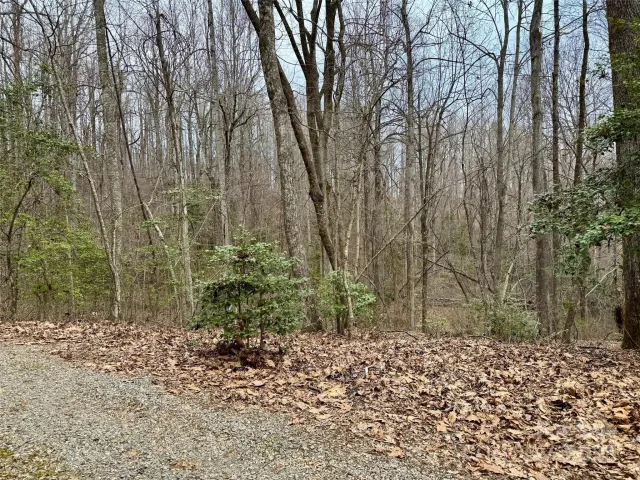 000 Orchard Mountain Road, Saluda, NC, 28773