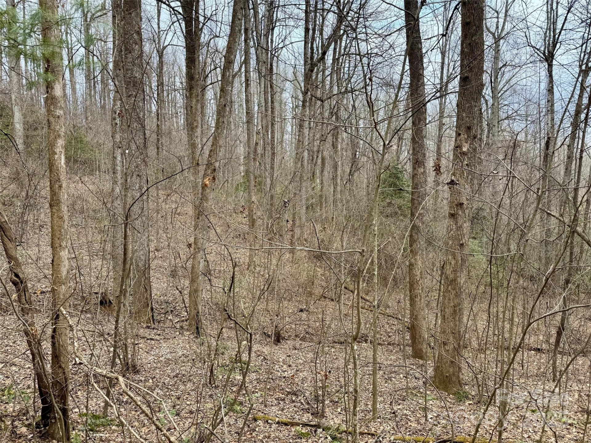 000 Orchard Mountain Road - Photo 12