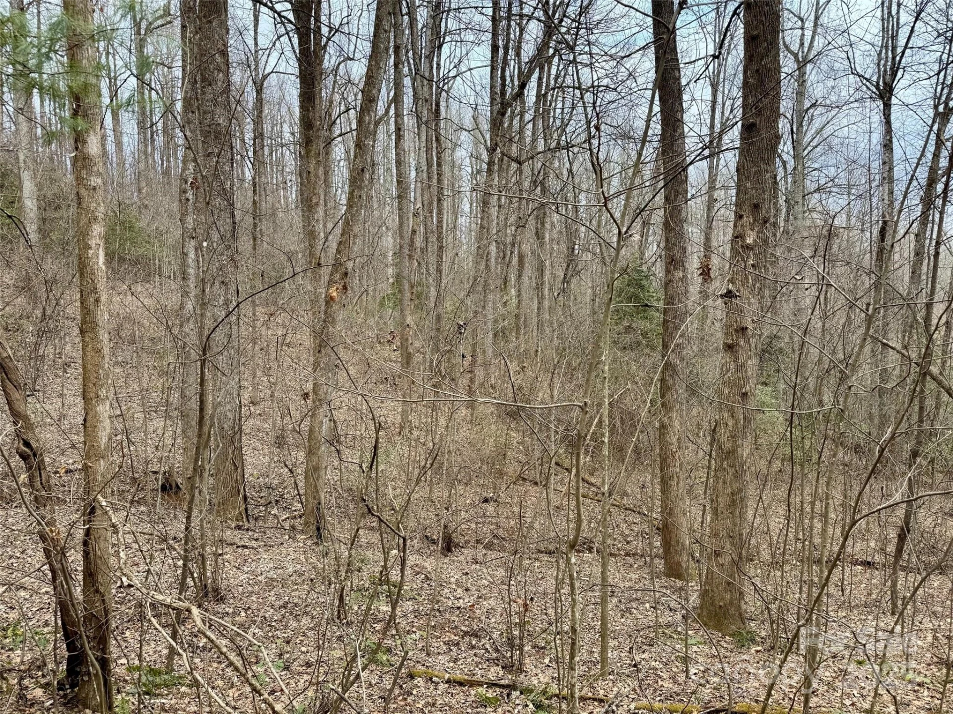 000 Orchard Mountain Road - Photo 12