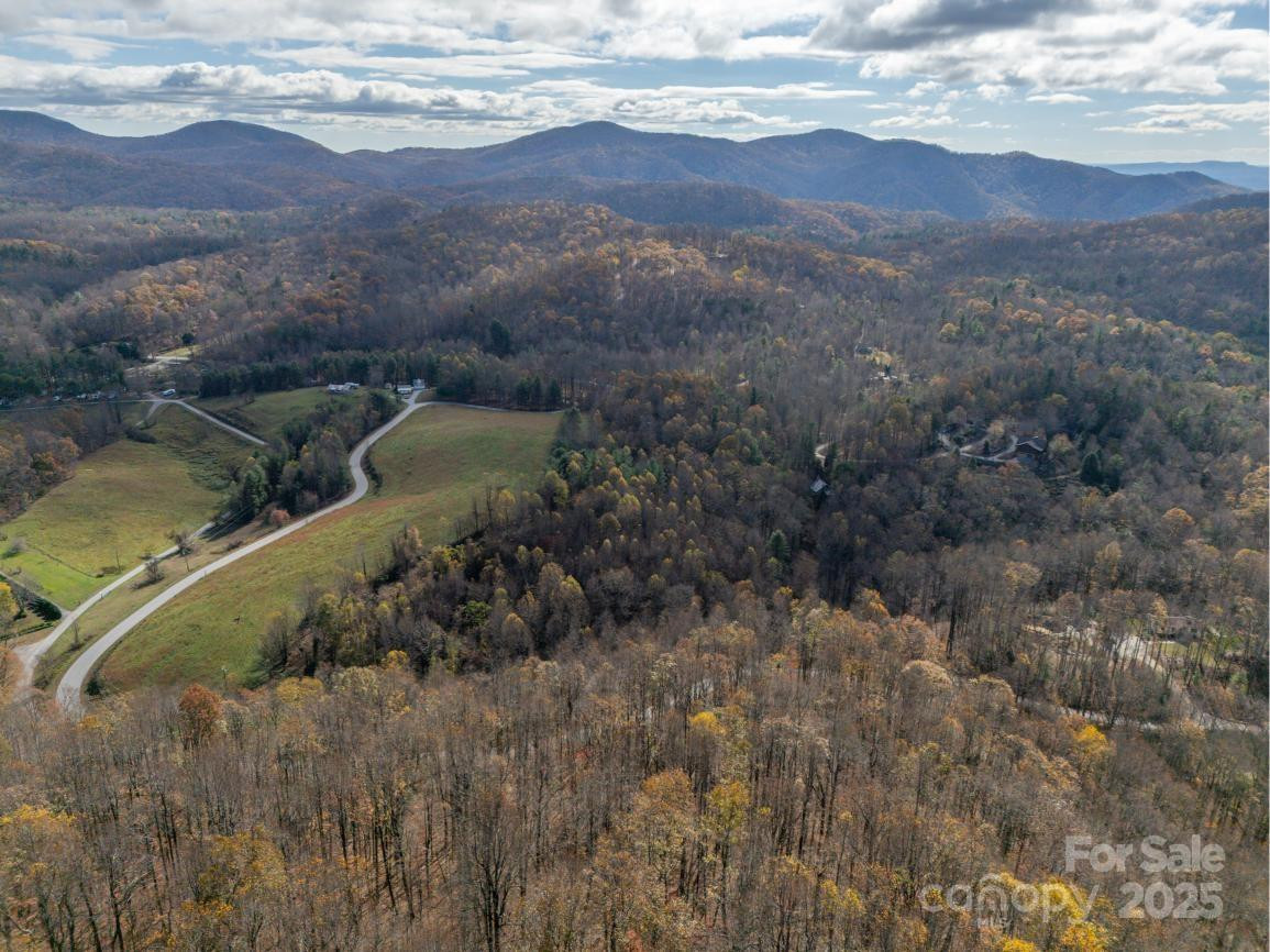 000 Orchard Mountain Road - Photo 13