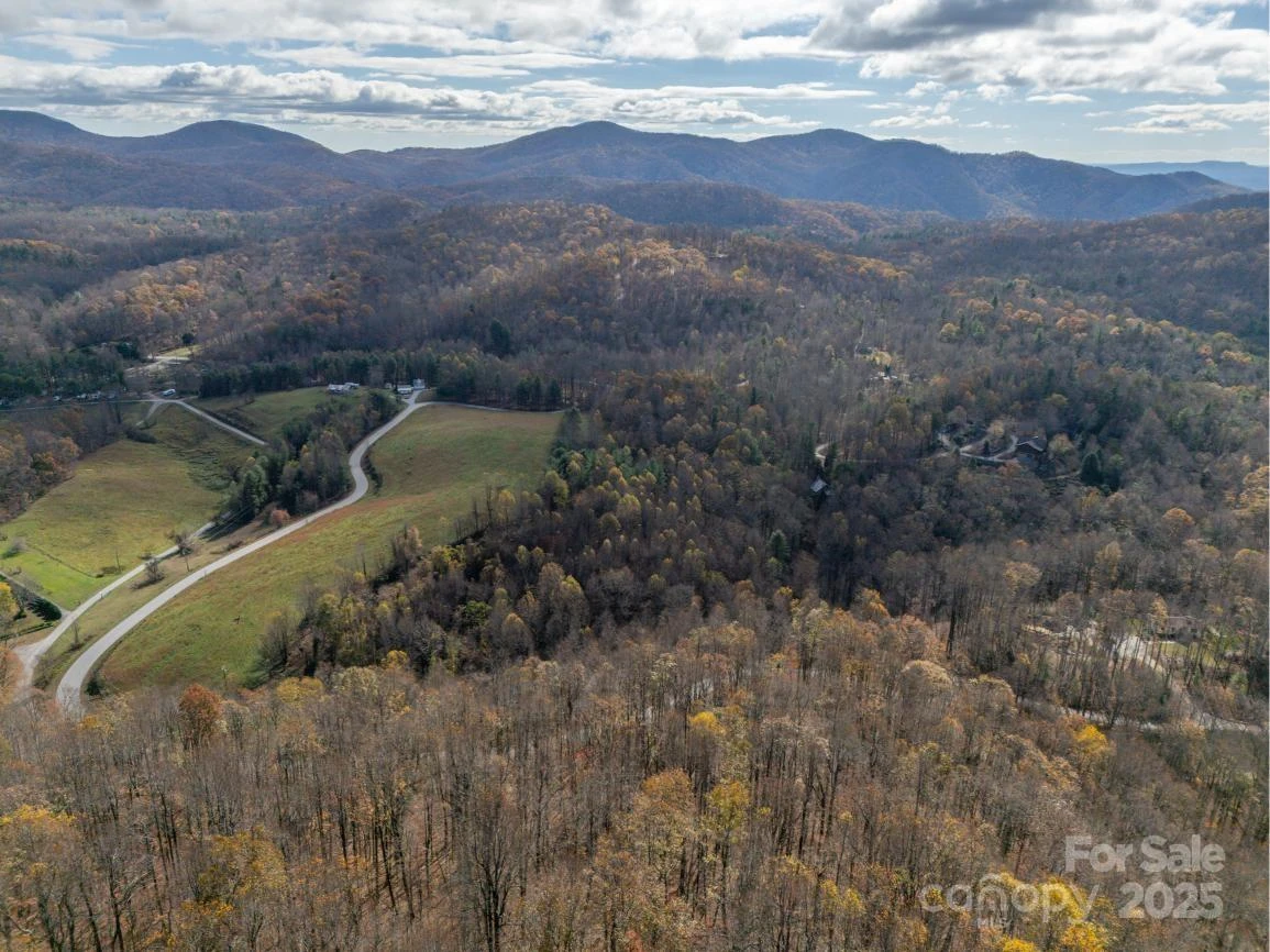 000 Orchard Mountain Road - Photo 13