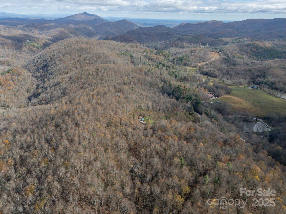 000 Orchard Mountain Road - Photo 14