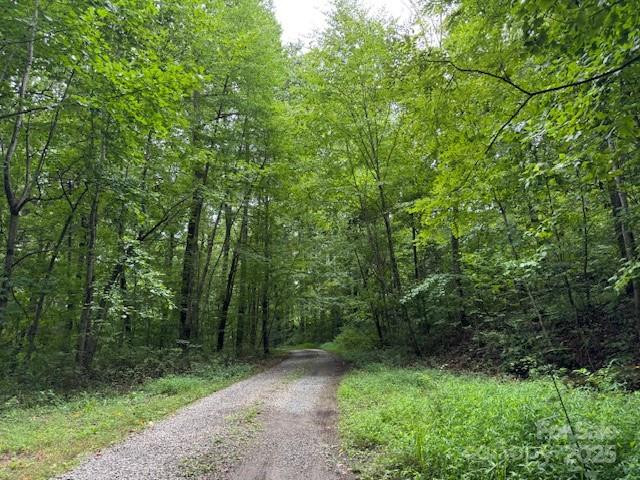 000 Orchard Mountain Road - Photo 3