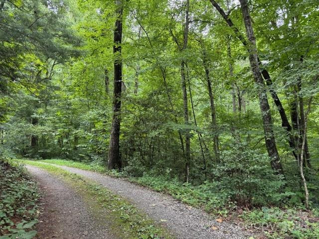 000 Orchard Mountain Road - Photo 4