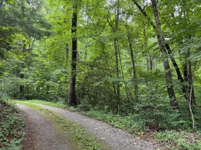 000 Orchard Mountain Road - Photo 4