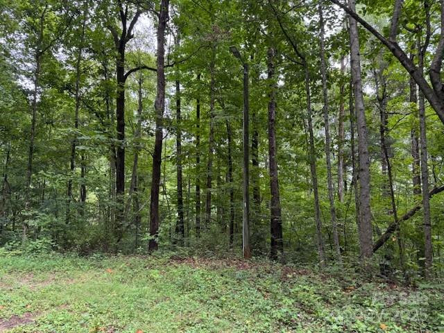 000 Orchard Mountain Road - Photo 5