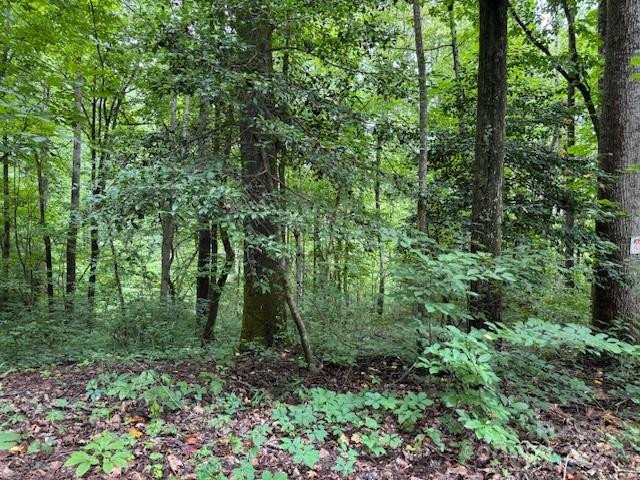 000 Orchard Mountain Road - Photo 6