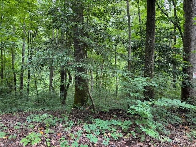 000 Orchard Mountain Road - Photo 6
