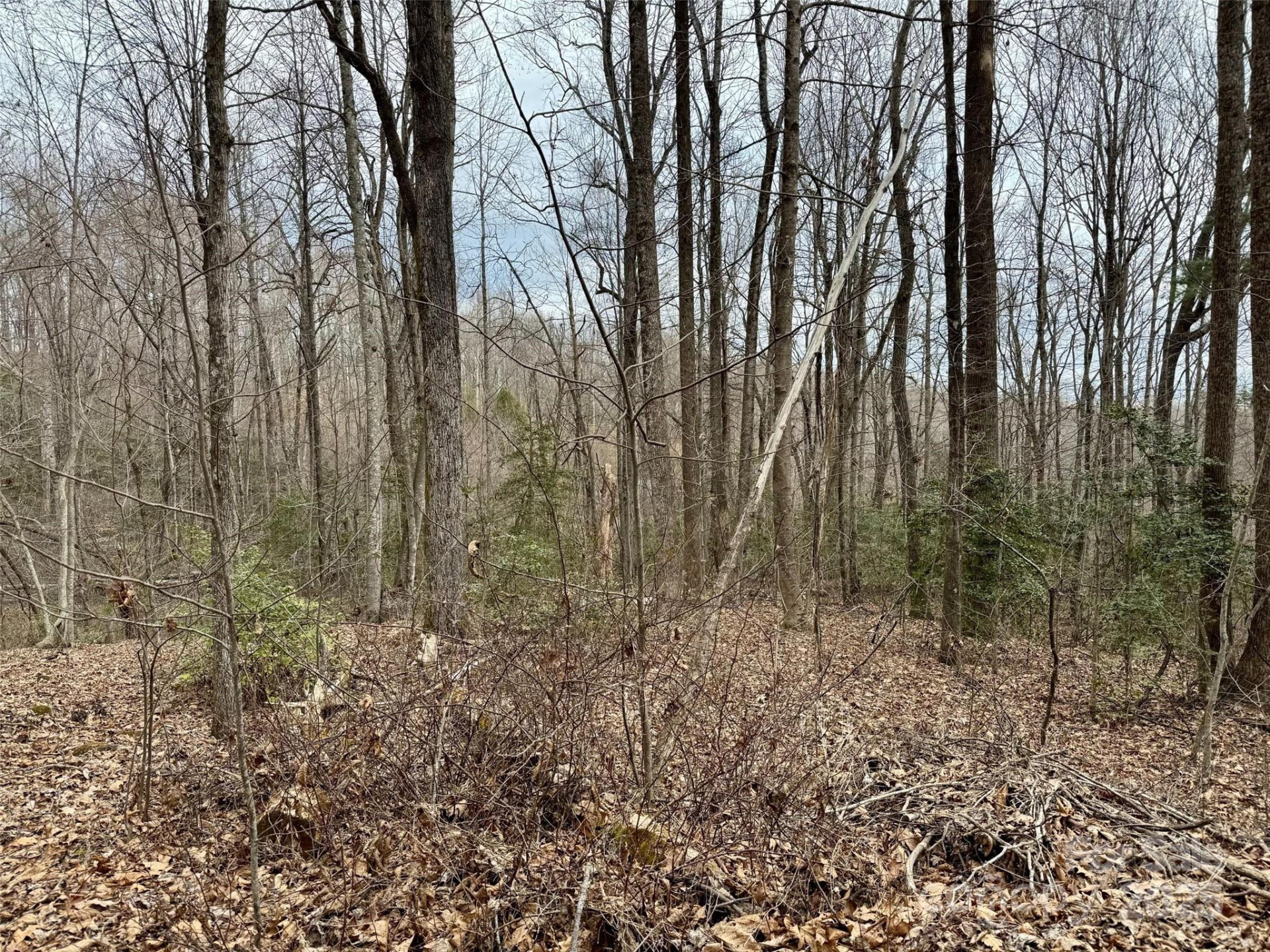 000 Orchard Mountain Road - Photo 7