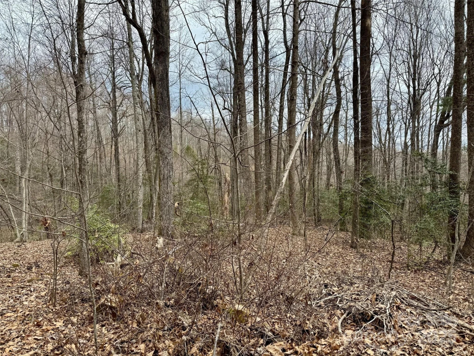 000 Orchard Mountain Road - Photo 7
