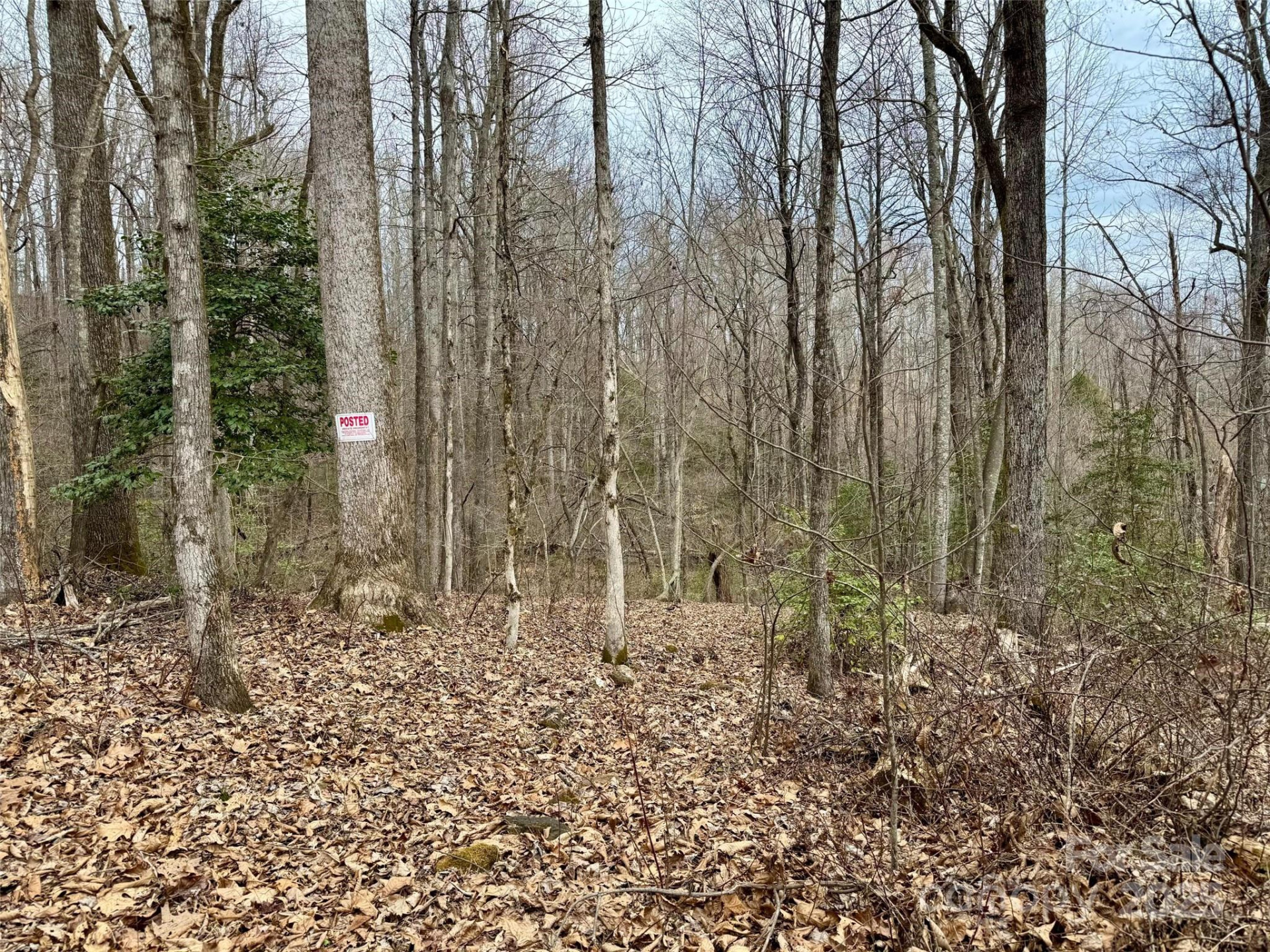 000 Orchard Mountain Road - Photo 8