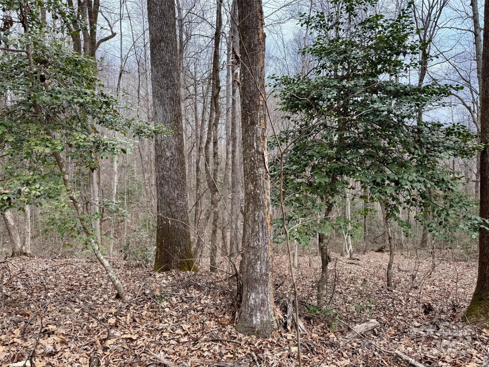 000 Orchard Mountain Road - Photo 9