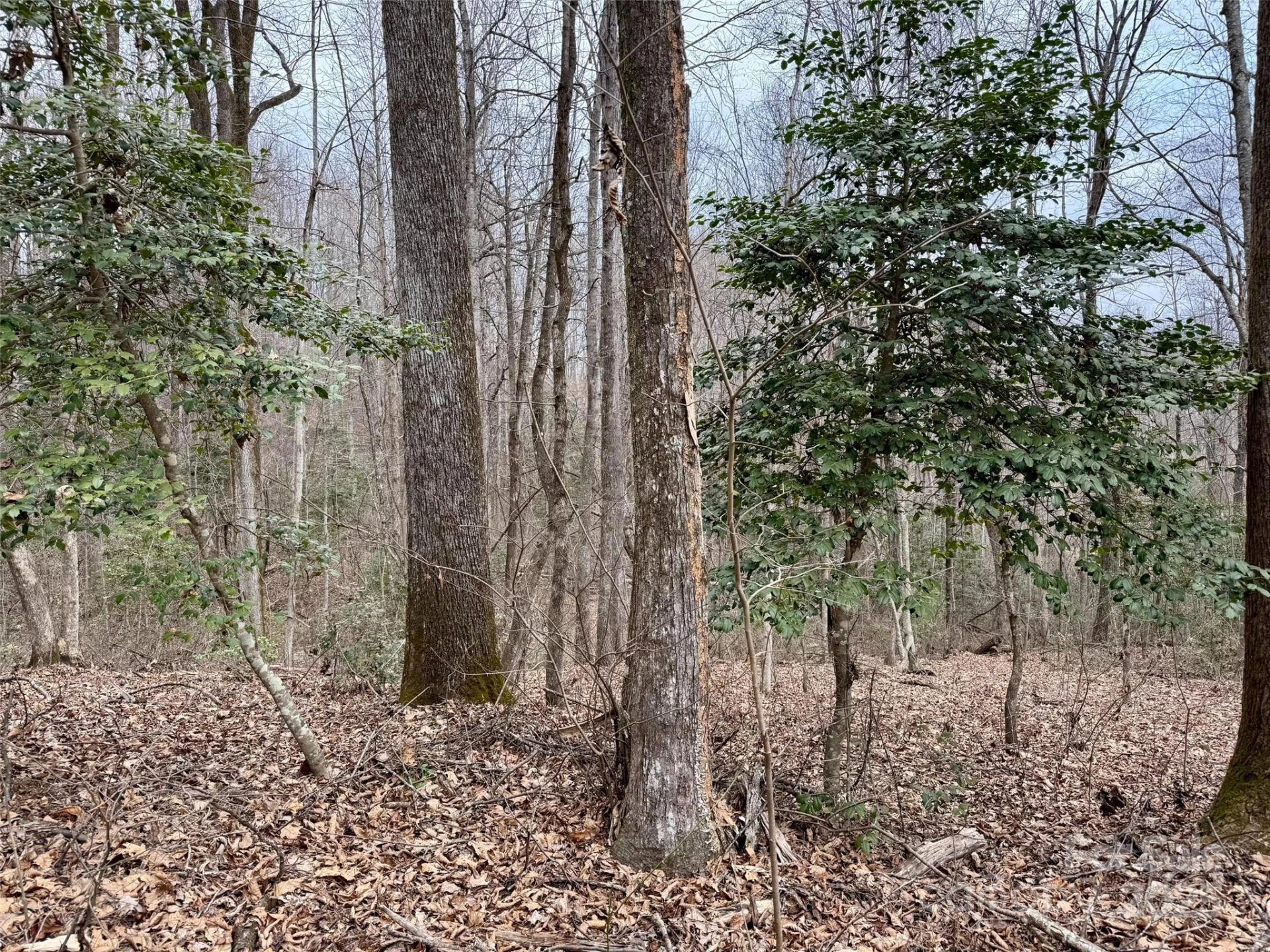 000 Orchard Mountain Road - Photo 9