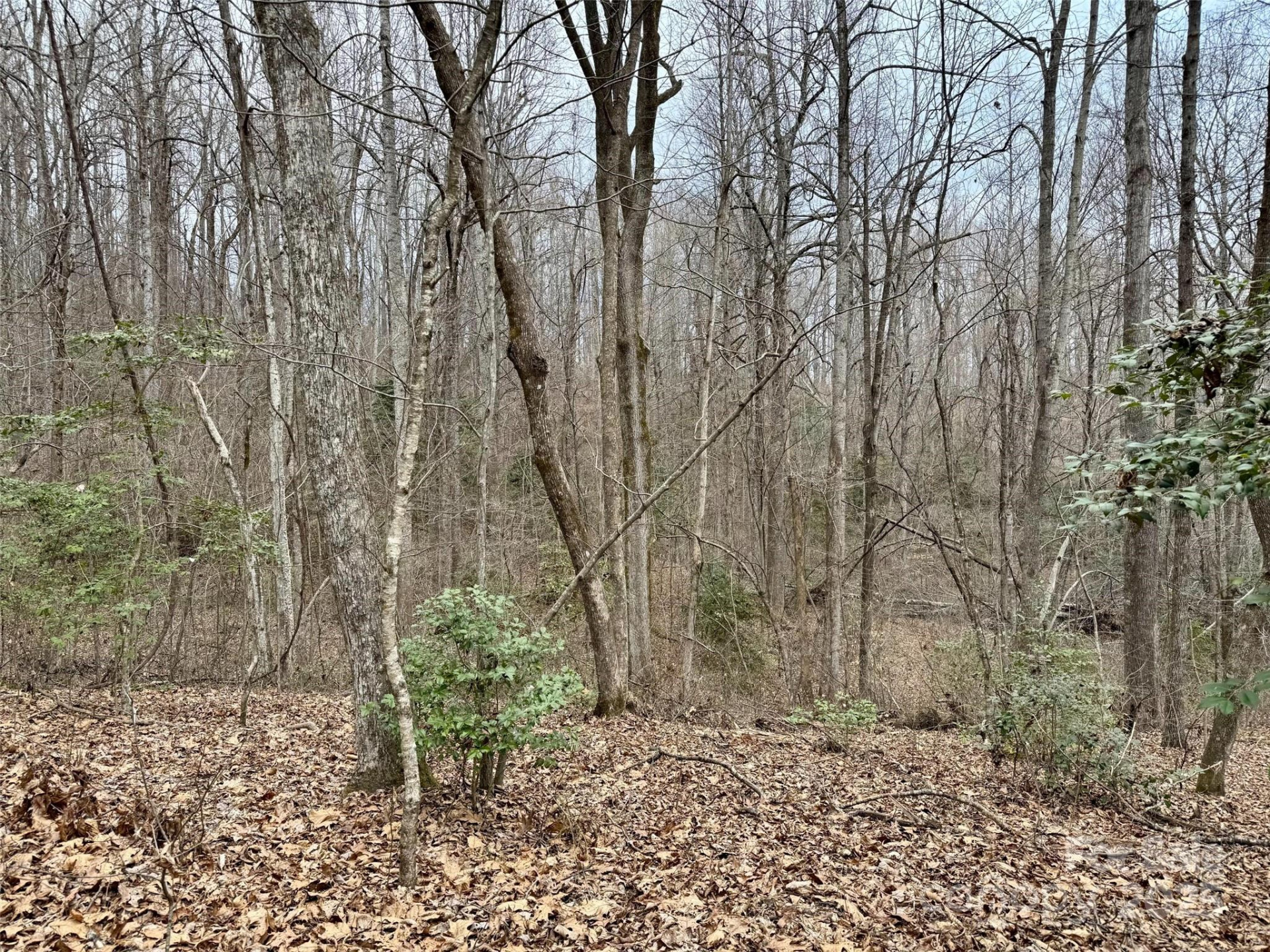 000 Orchard Mountain Road - Photo 10