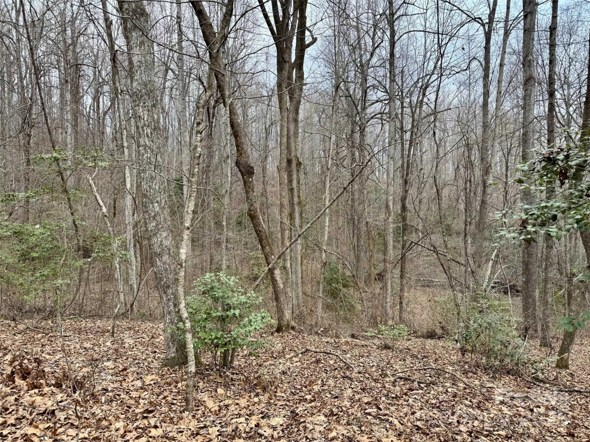 000 Orchard Mountain Road - Photo 10