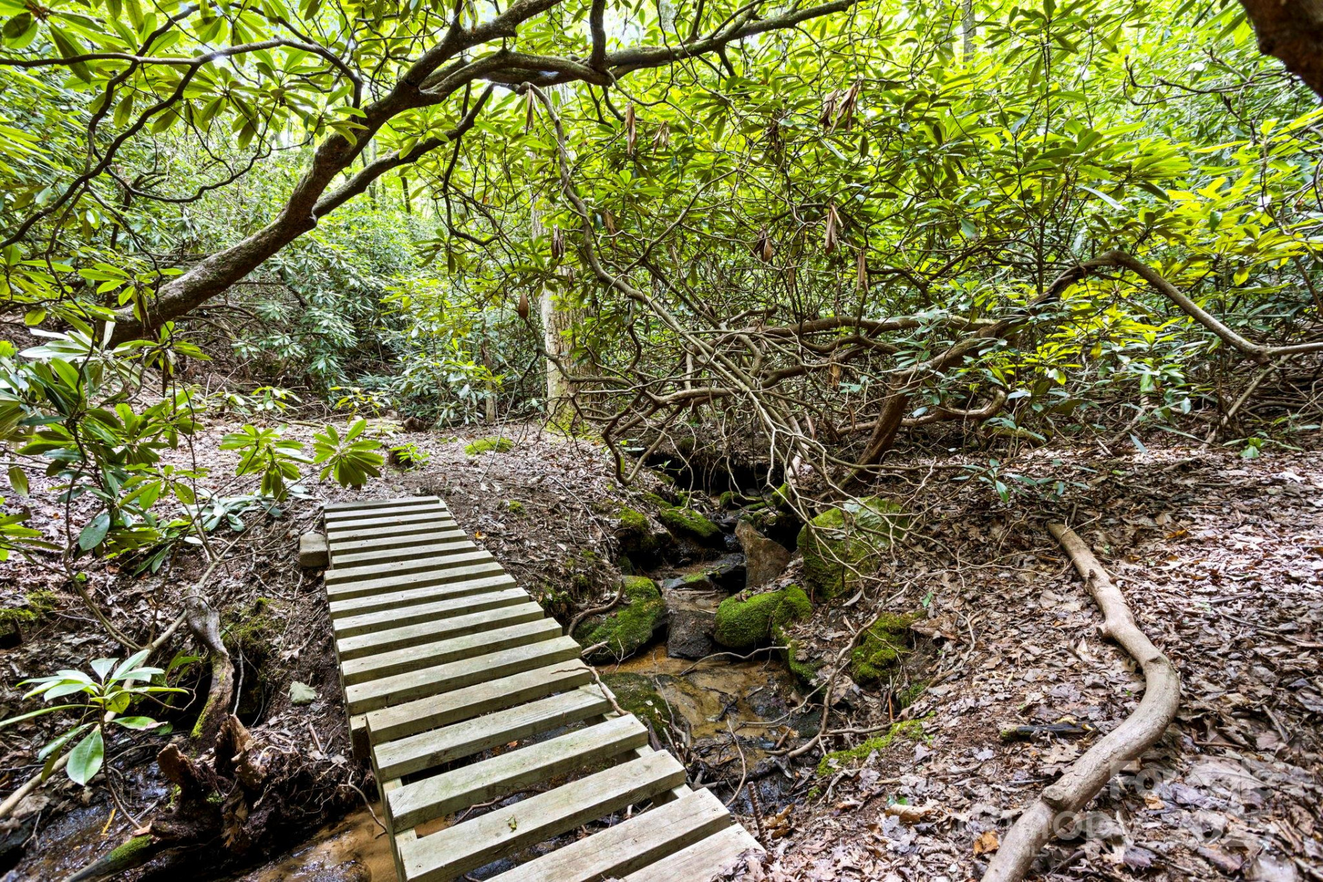 100 Elmridge Drive - Photo 47