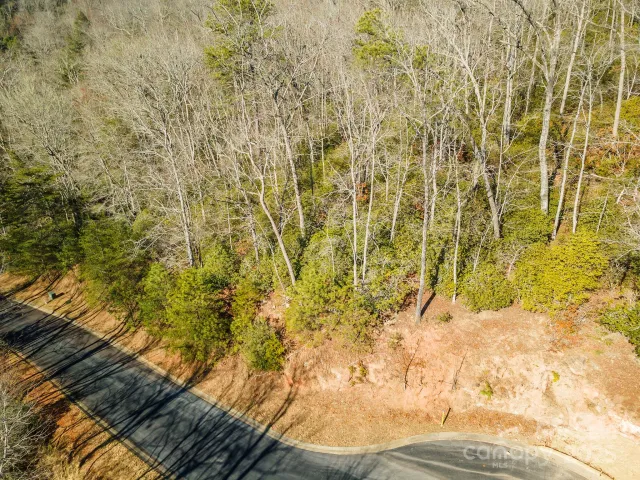 99999 Caddis Lane, Horse Shoe, NC, 28742
