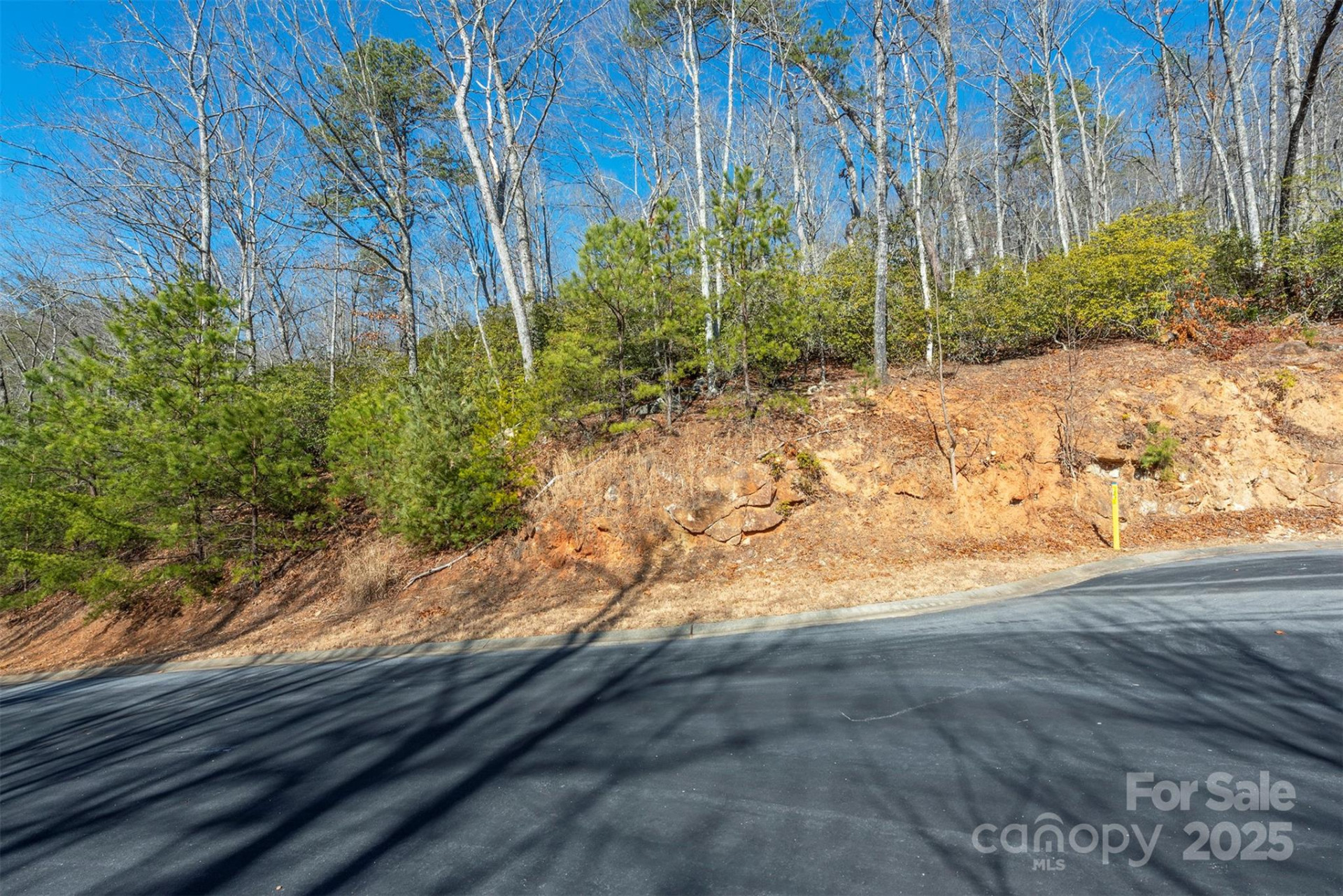 99999 Caddis Lane #92 - Photo 2