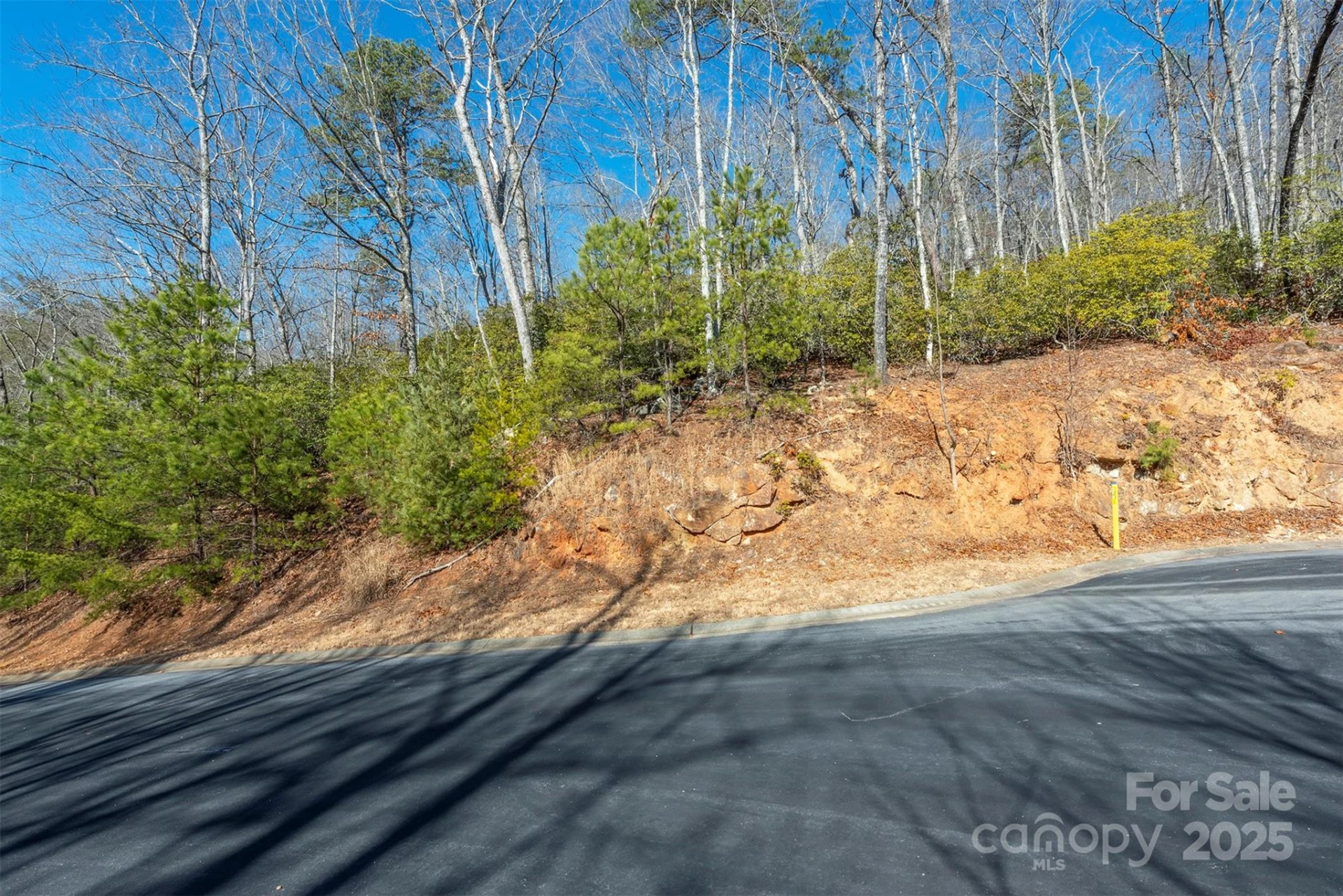 99999 Caddis Lane #92 - Photo 2