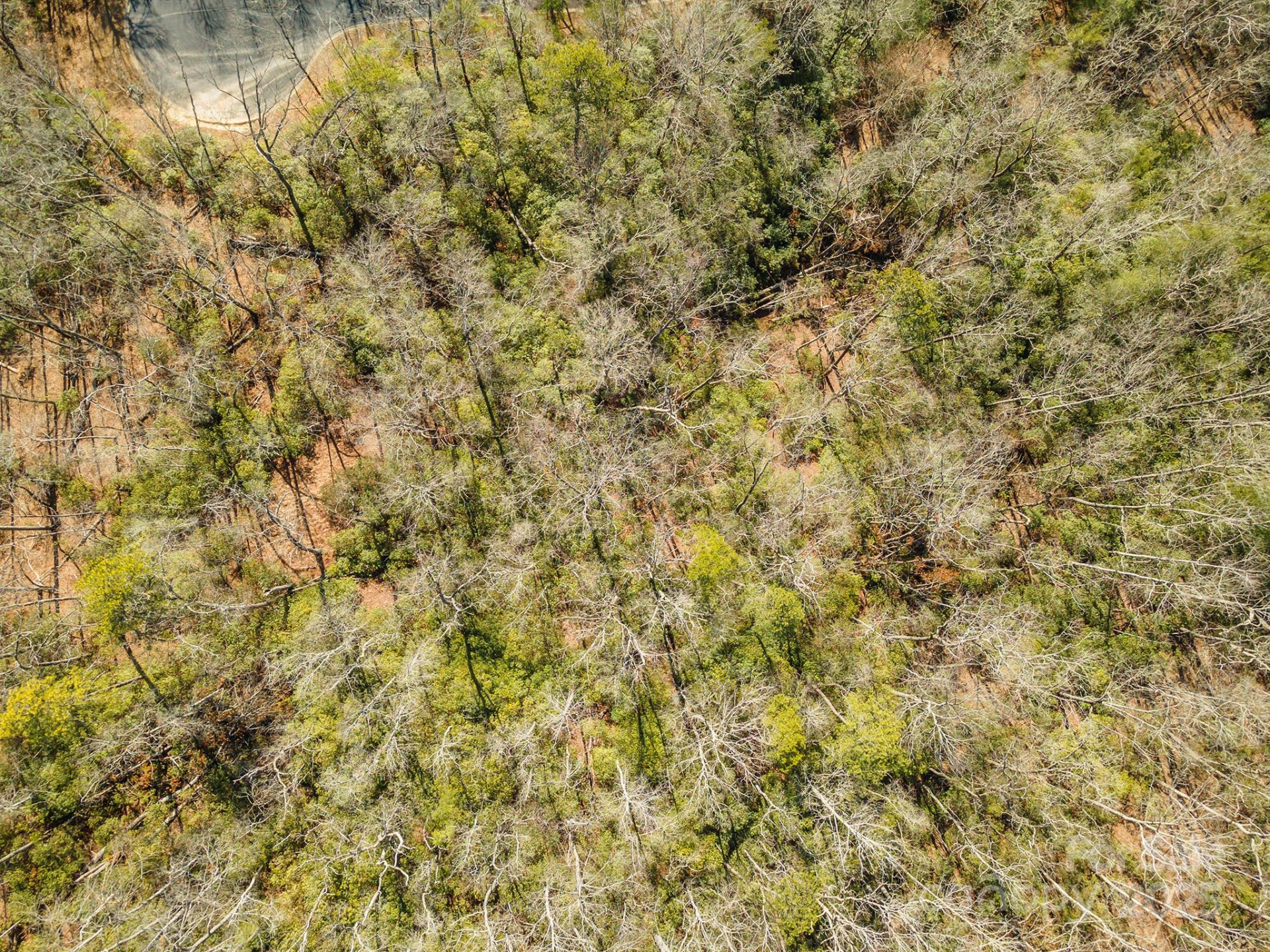 99999 Caddis Lane #92 - Photo 11