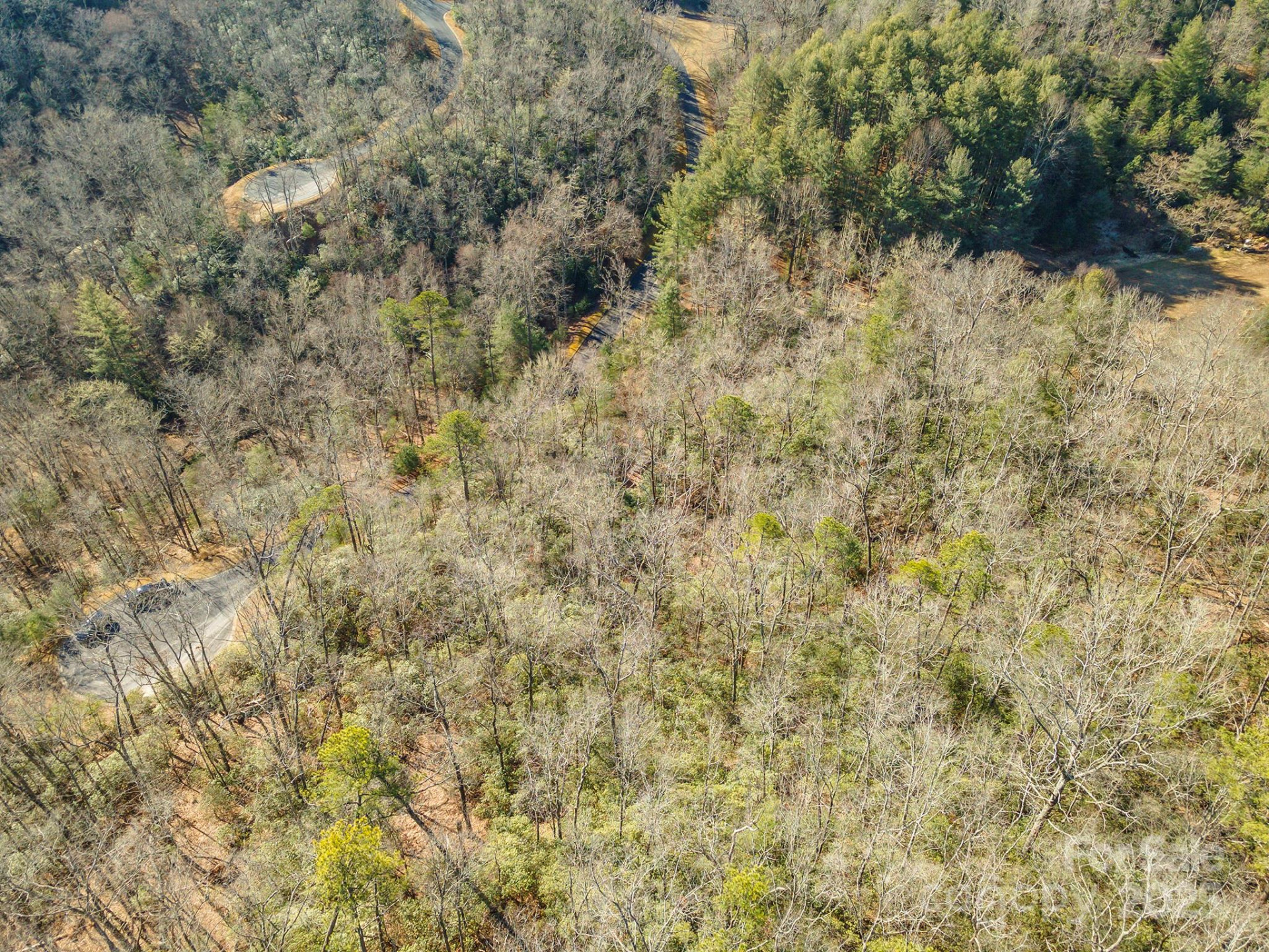 99999 Caddis Lane #92 - Photo 13