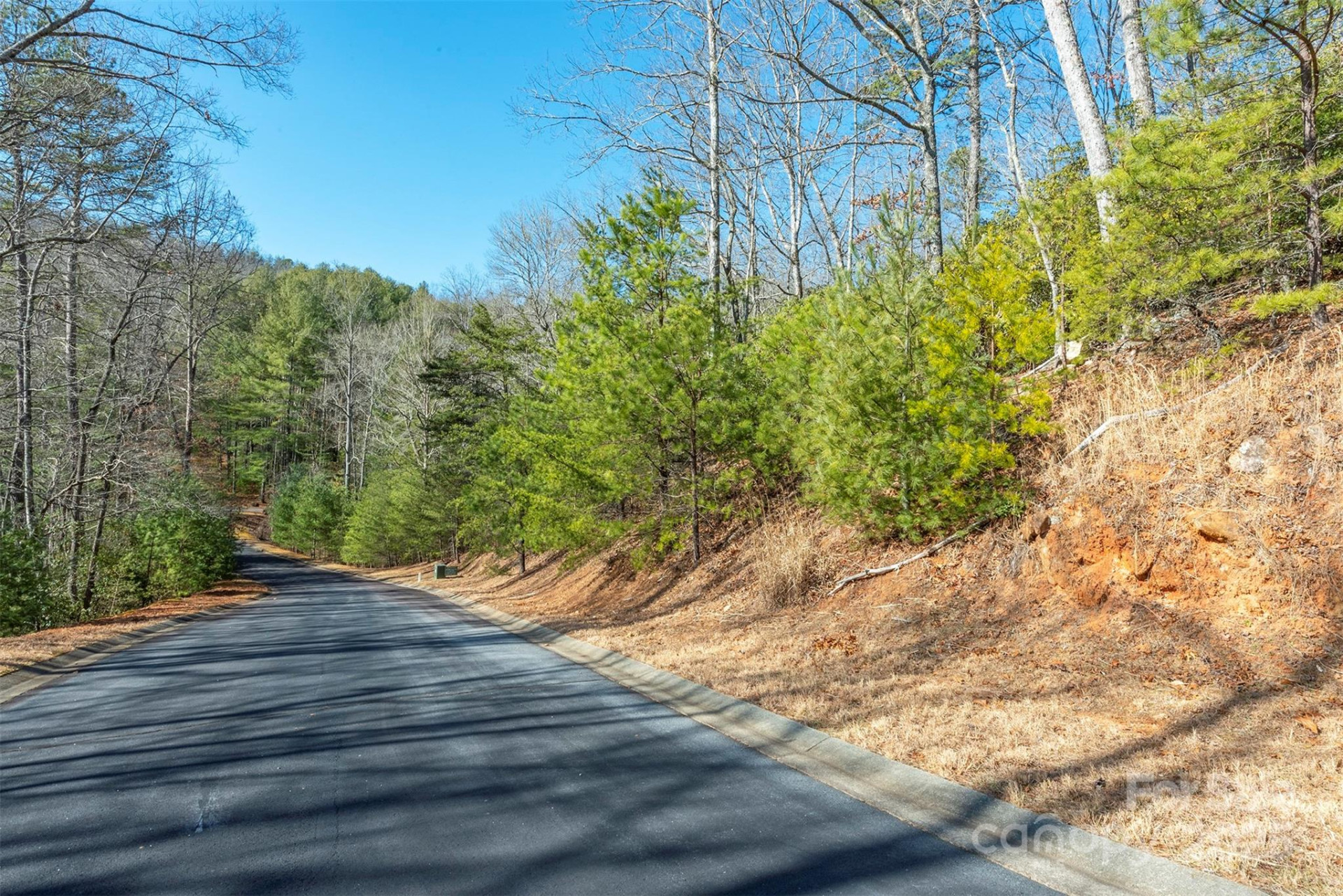 99999 Caddis Lane #92 - Photo 3