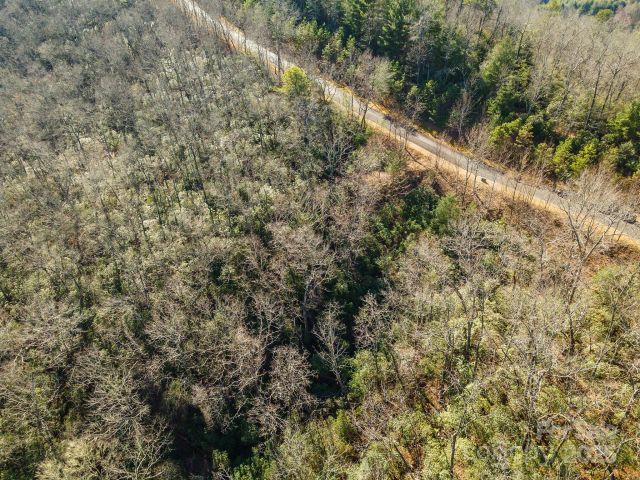 99999 Mills River Way, Horse Shoe, NC, 28742