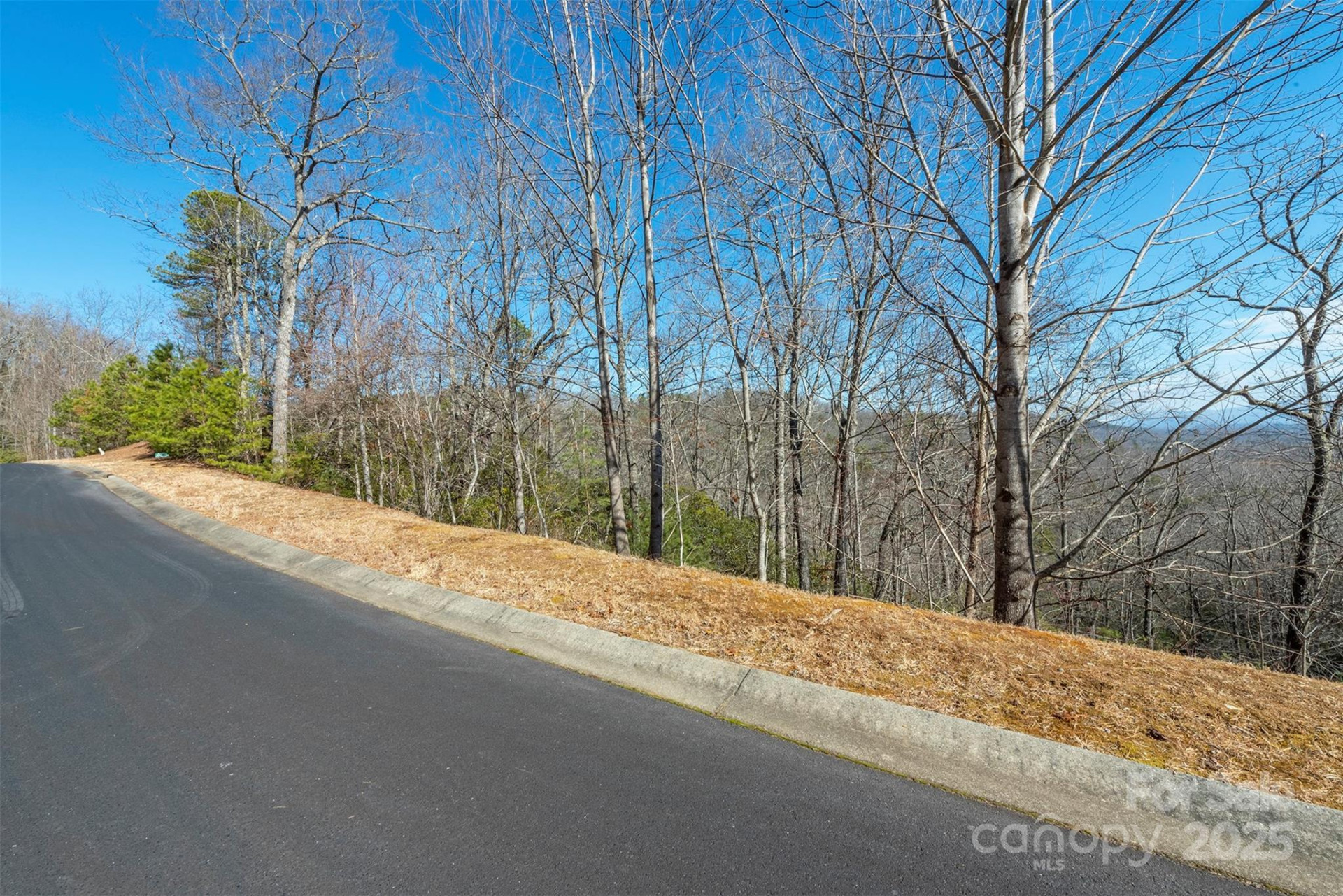 99999 Mills River Way #108 - Photo 2