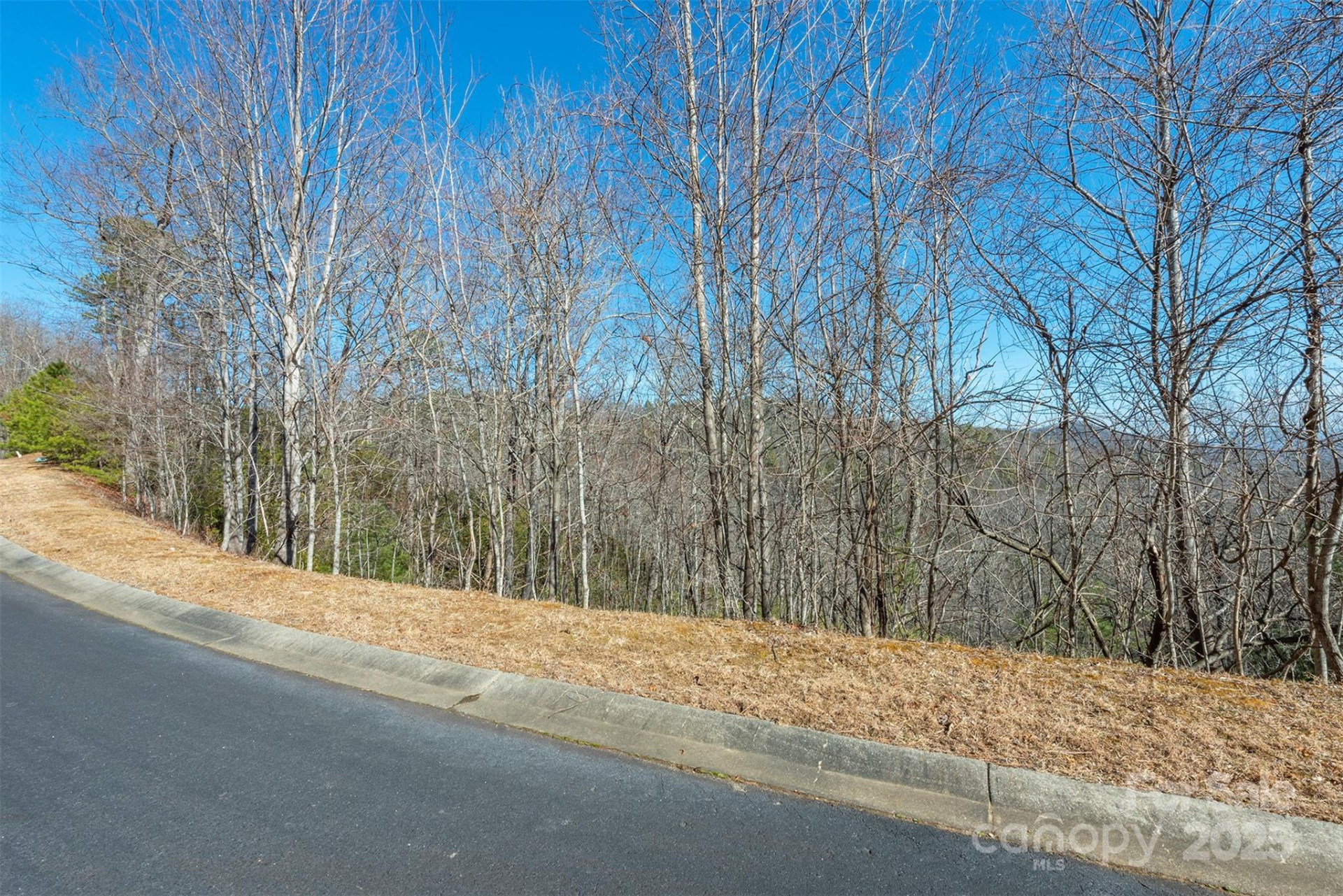 99999 Mills River Way #108 - Photo 4