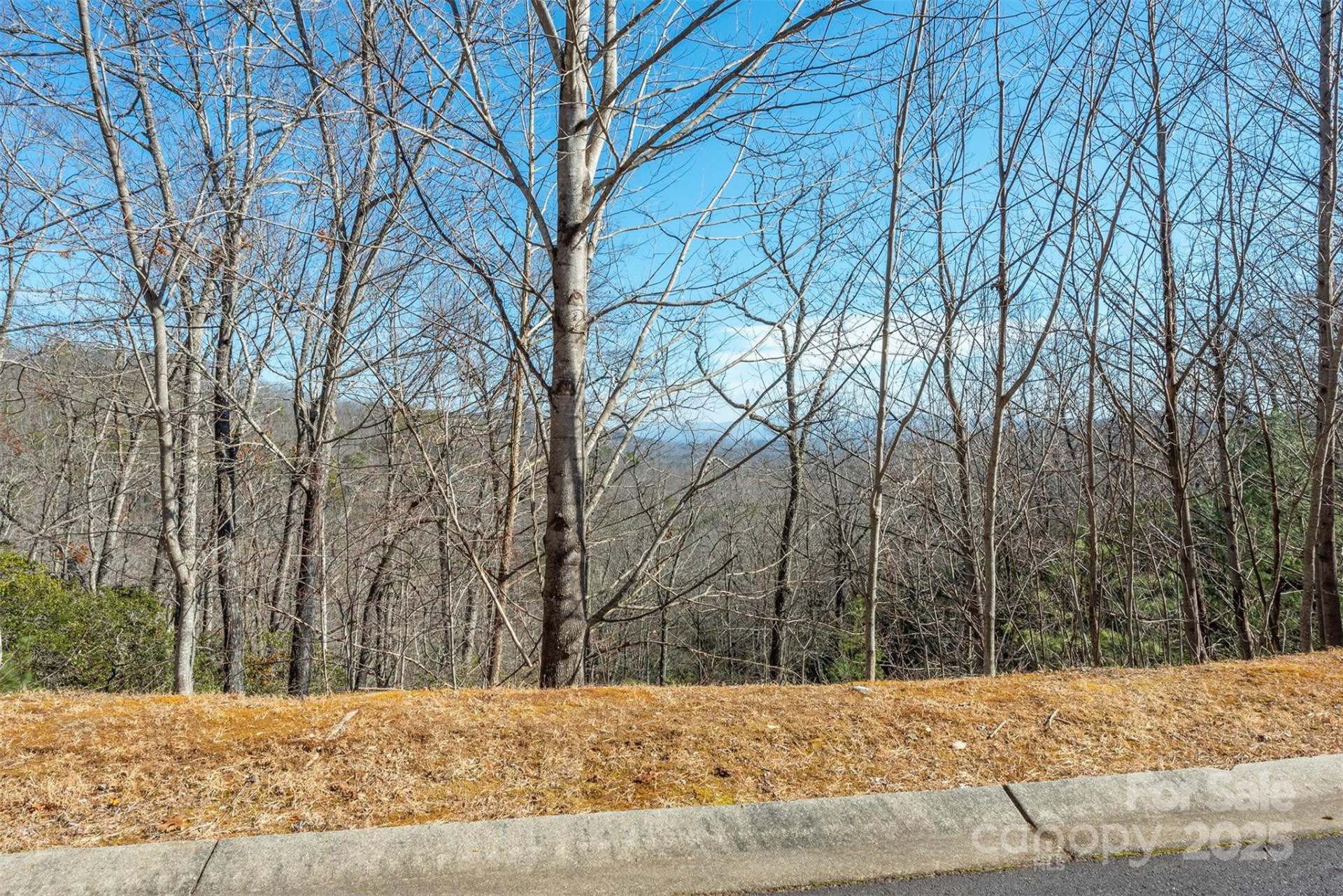 99999 Mills River Way #108 - Photo 5