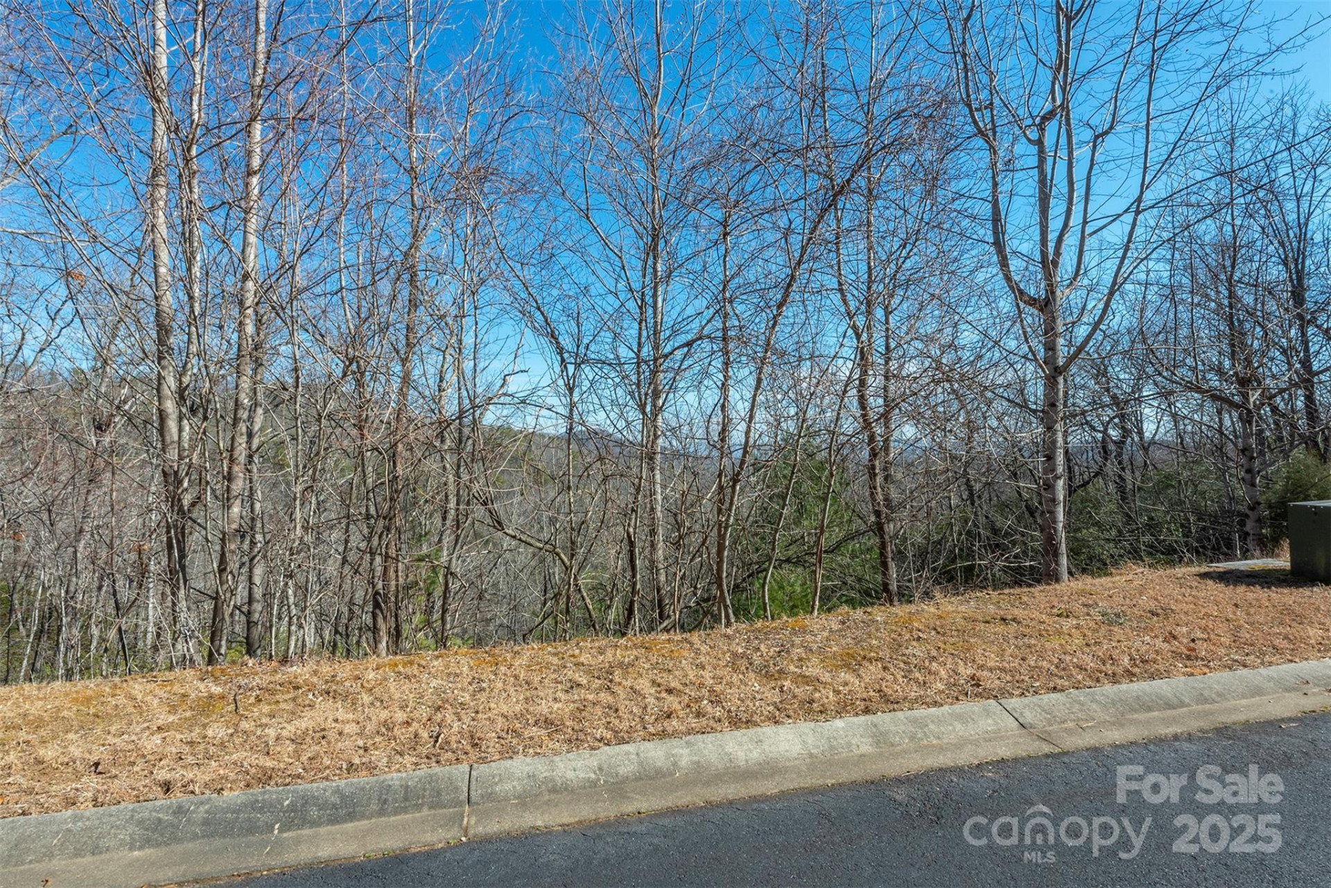 99999 Mills River Way #108 - Photo 6