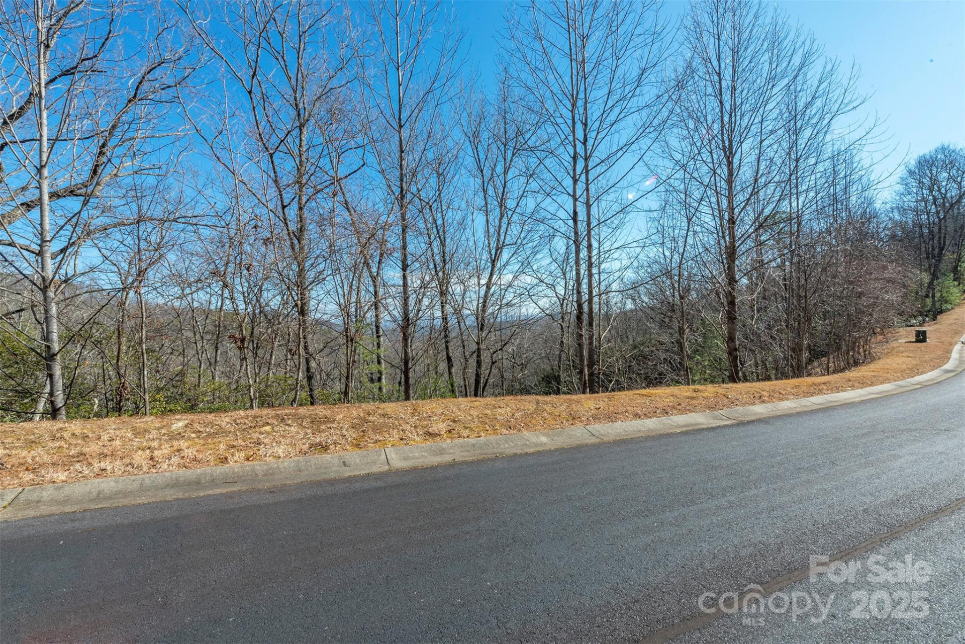 99999 Mills River Way #108 - Photo 7