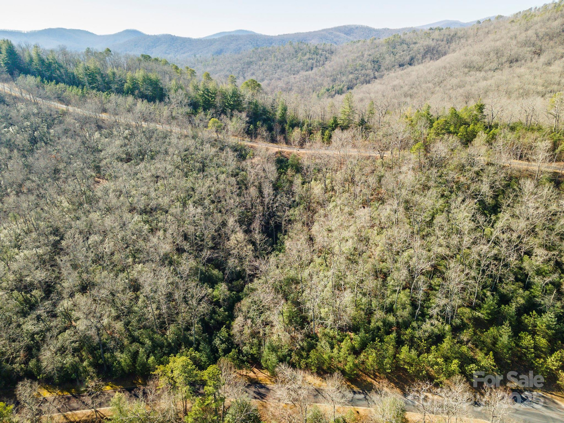 99999 Mills River Way #108 - Photo 10