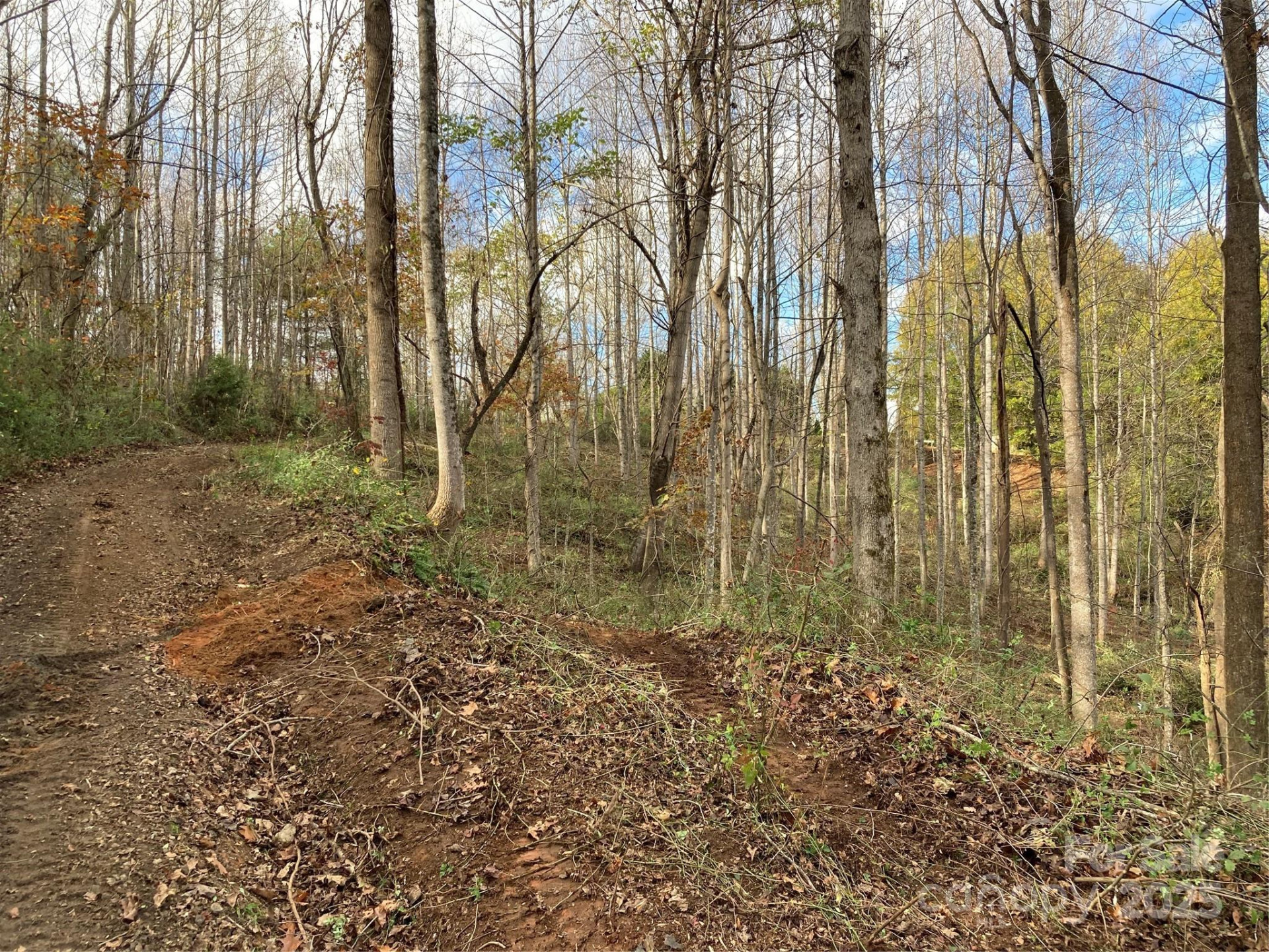 1638 Continental Divide Drive #2 - Photo 2