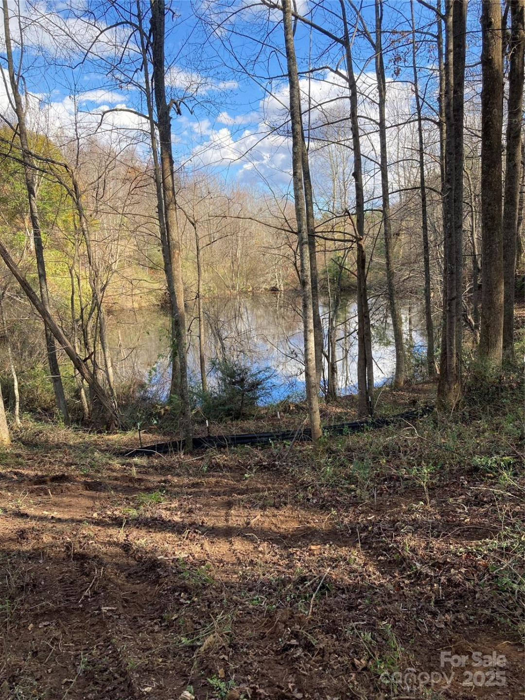 1638 Continental Divide Drive #2 - Photo 4