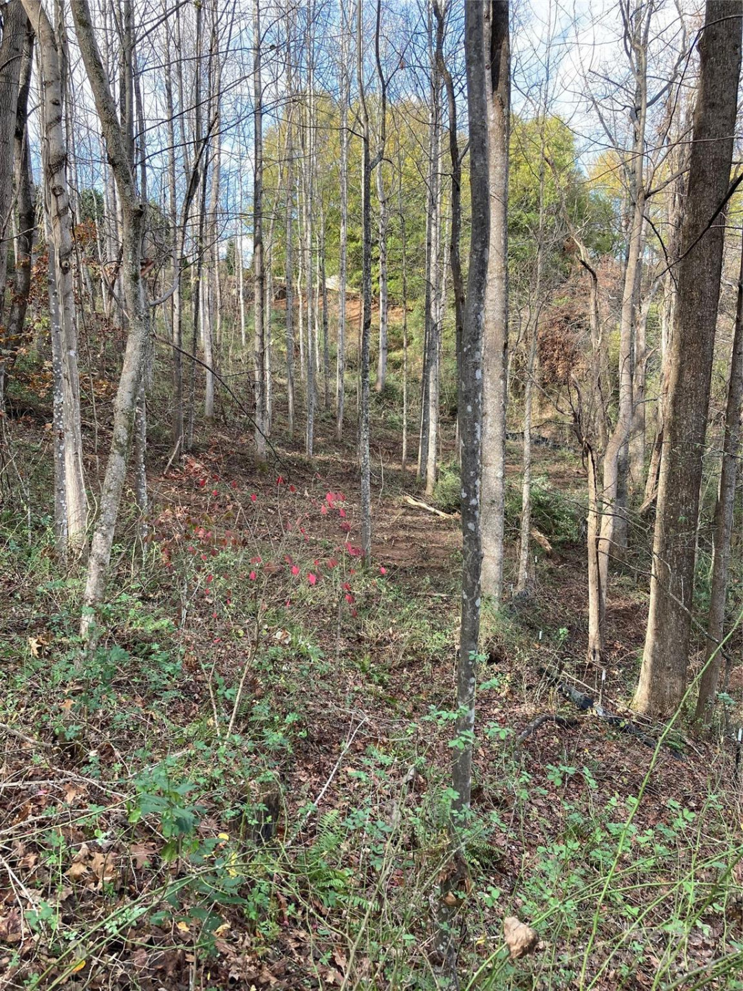 1638 Continental Divide Drive #2 - Photo 5