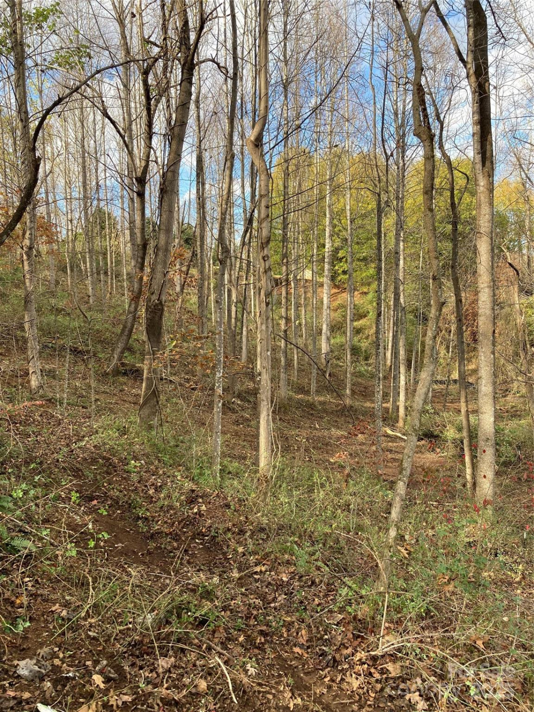 1638 Continental Divide Drive #2 - Photo 6