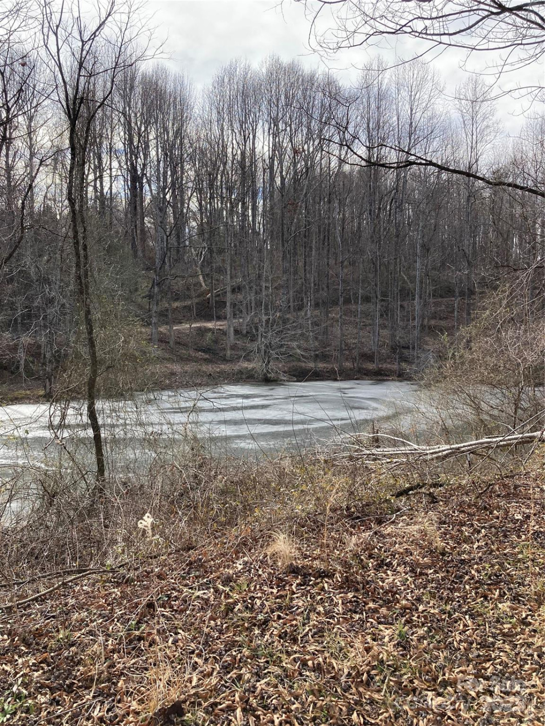 1638 Continental Divide Drive #2 - Photo 7