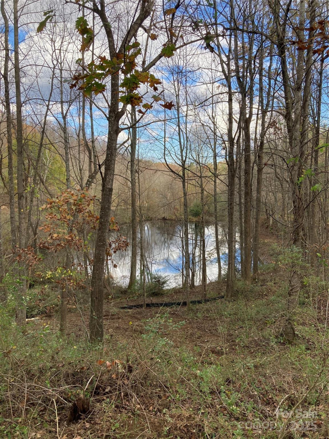 1638 Continental Divide Drive #2 - Photo 8