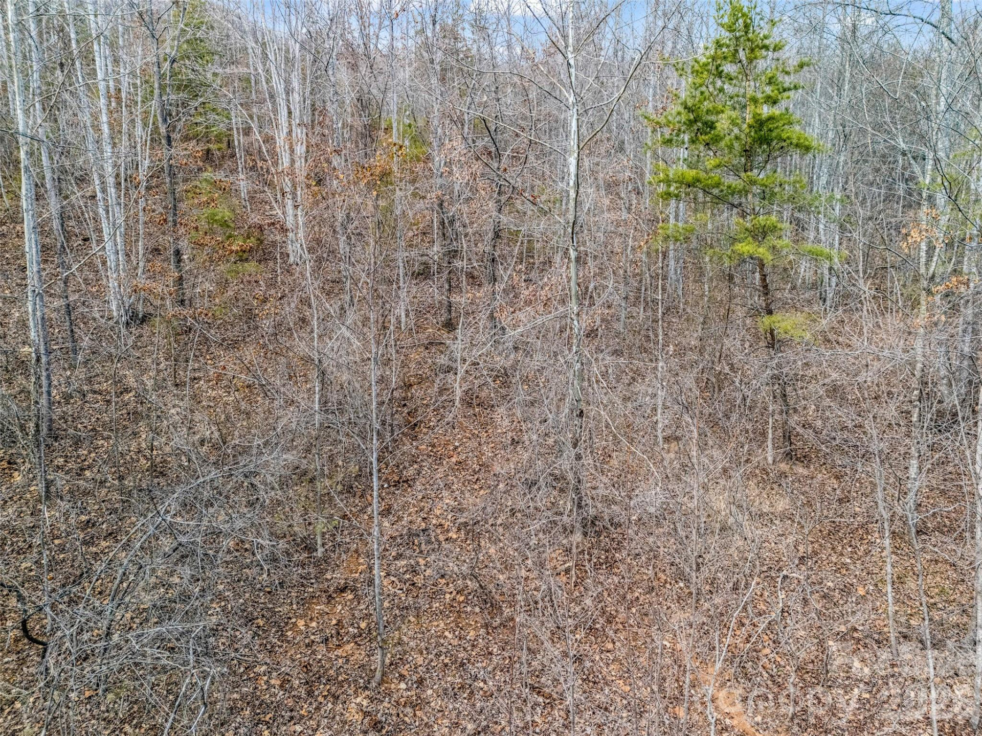 146 Wee Burn Cove - Photo 21