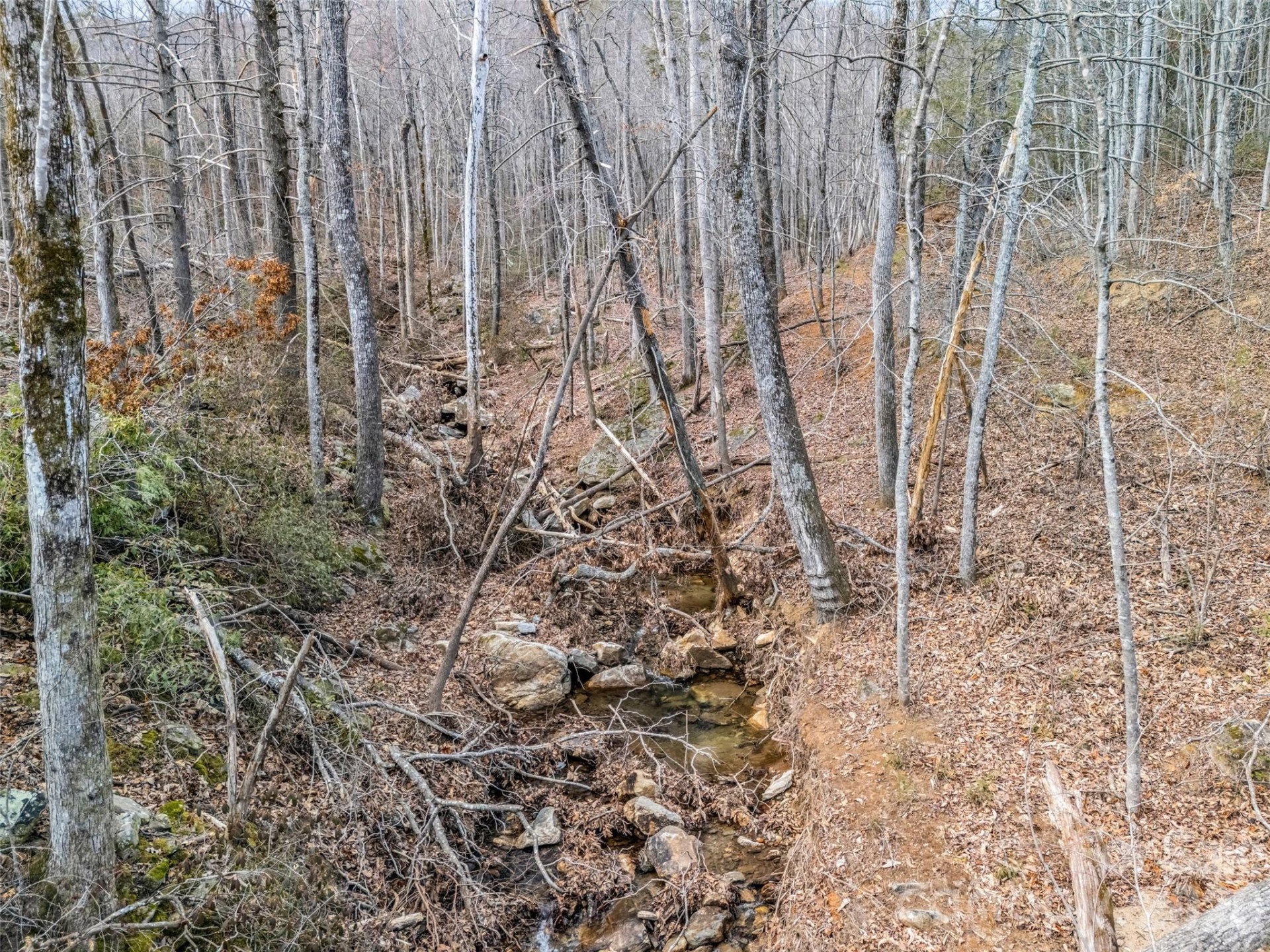 146 Wee Burn Cove - Photo 23