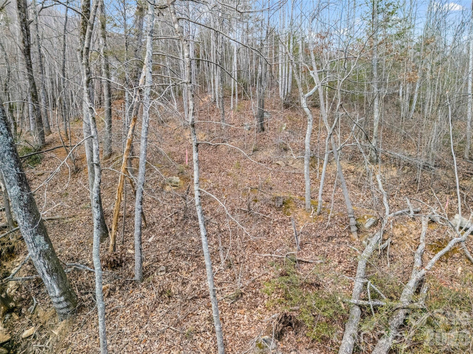 146 Wee Burn Cove - Photo 24