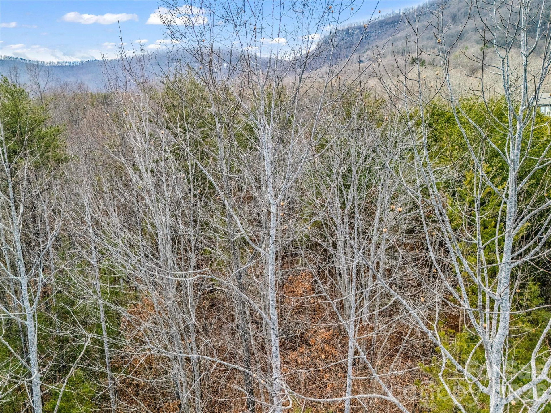 146 Wee Burn Cove - Photo 28