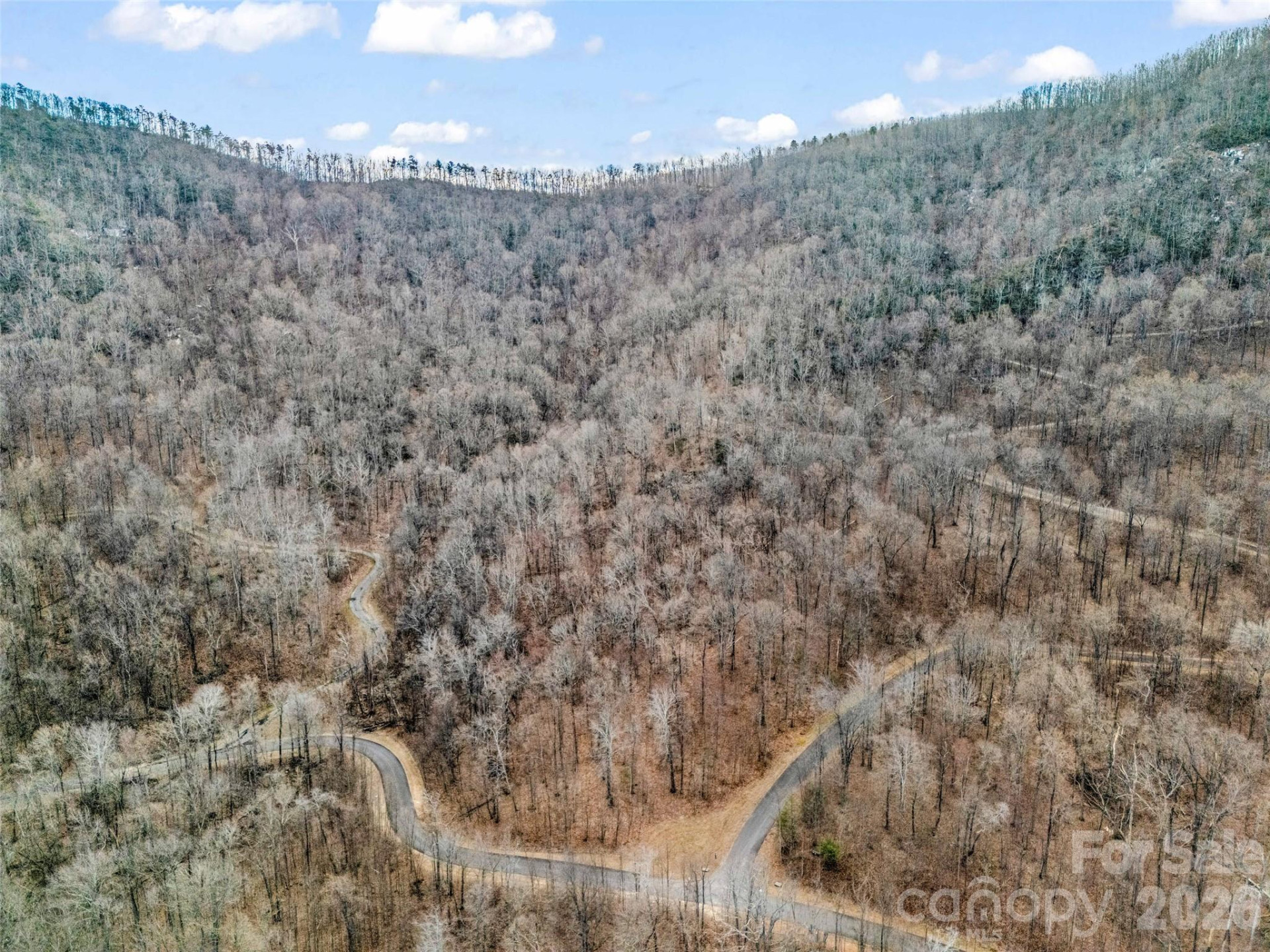 2128 Harm Creek Loop - Photo 5