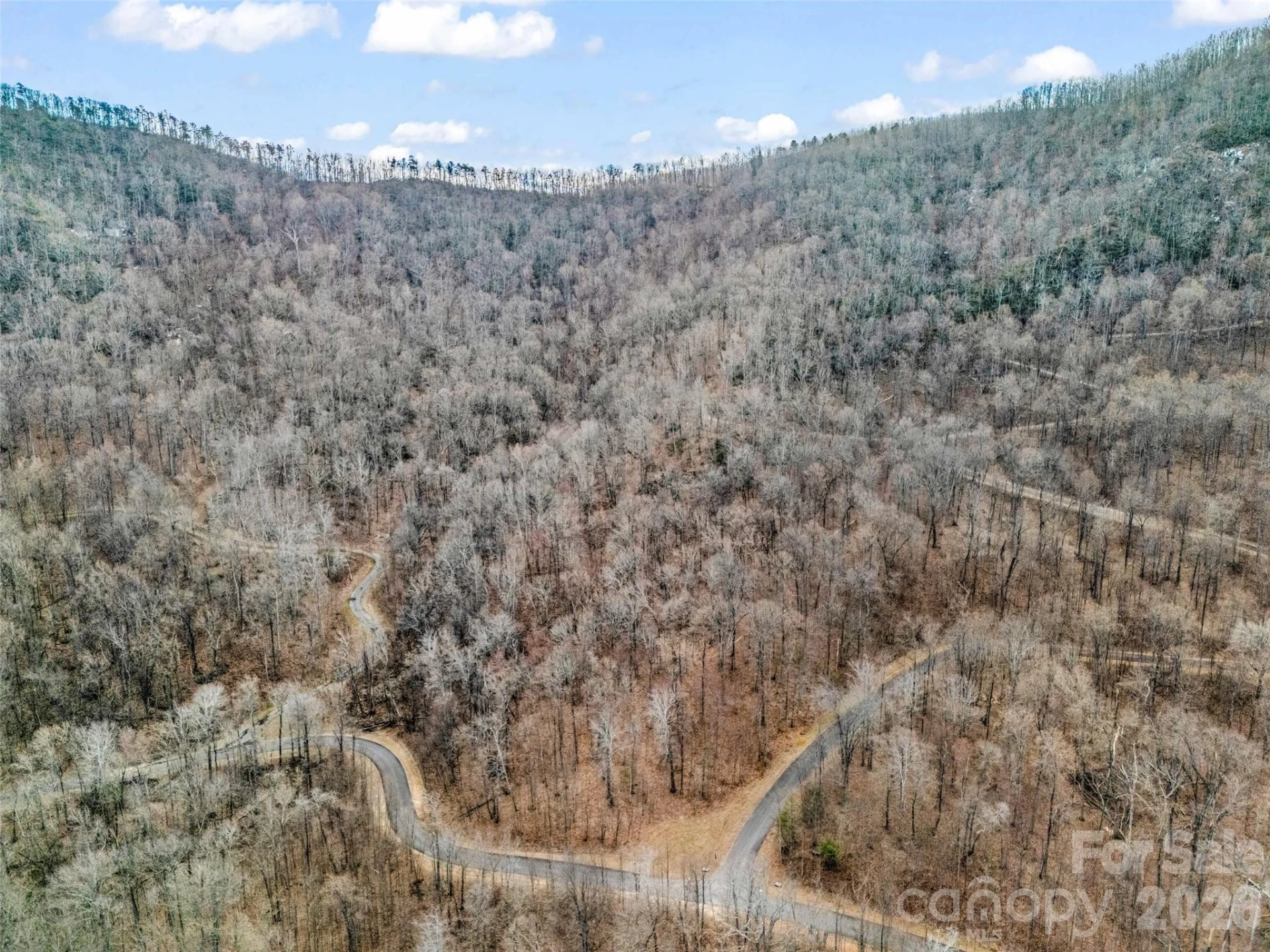 2128 Harm Creek Loop - Photo 5