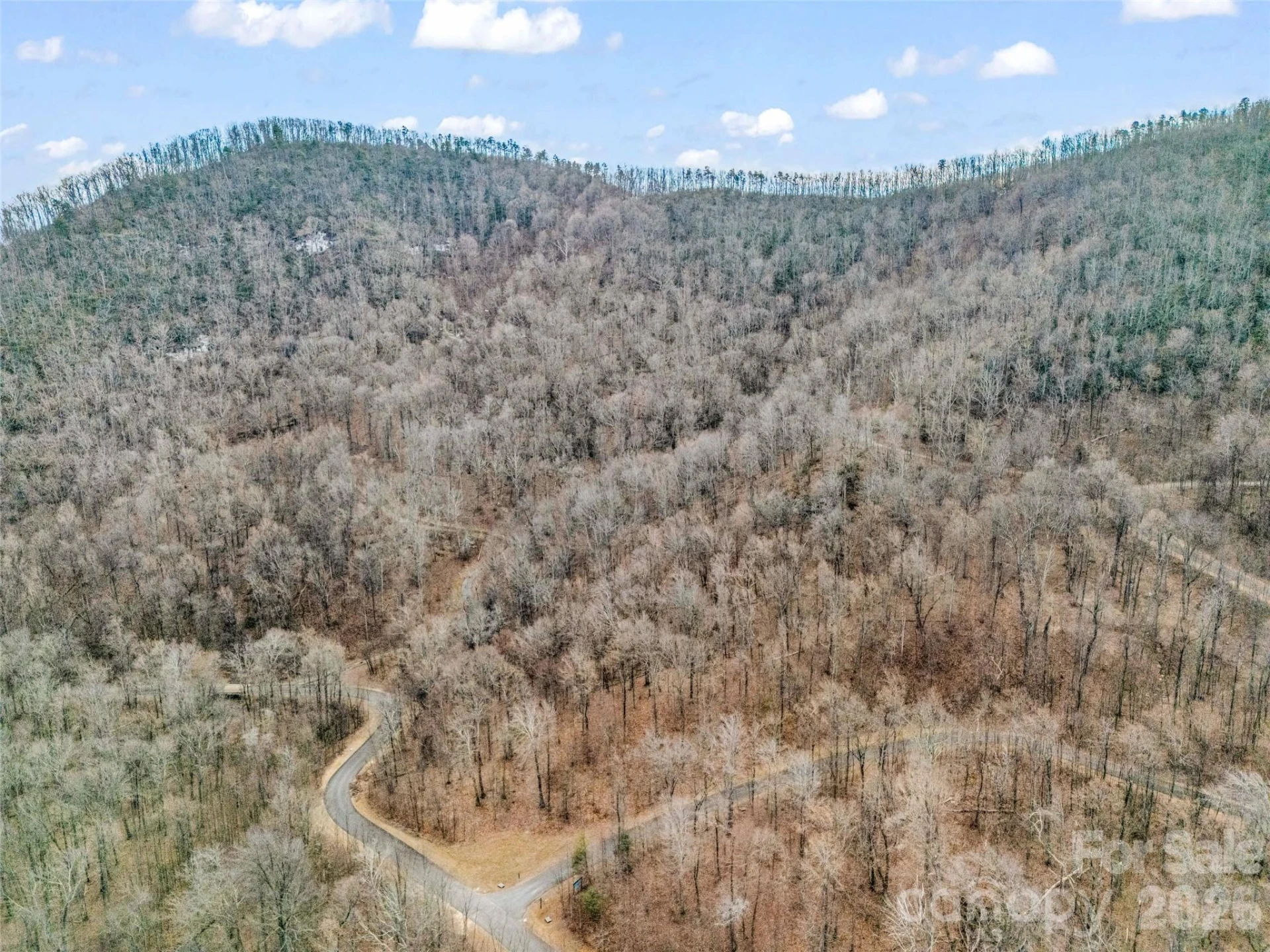 2128 Harm Creek Loop - Photo 6