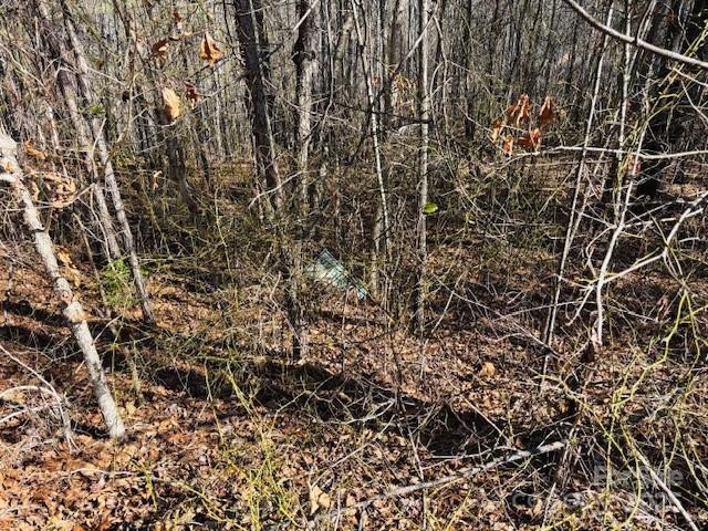 0 Creekside Circle #110 - Photo 11