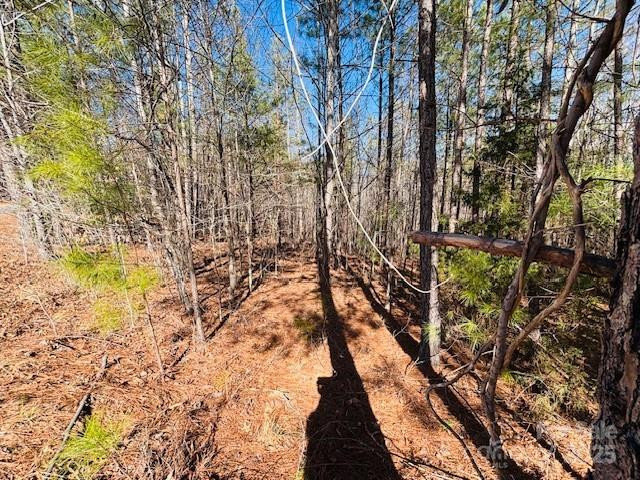 0 Creekside Circle #110 - Photo 12